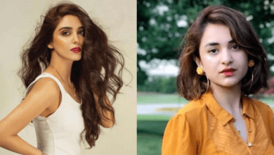 Who Is Yumna Zaidi? Get To Know Her Biography, Physical Stats, Dramas, Age & More