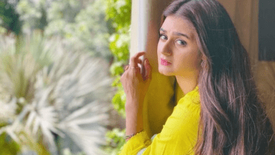 Who Is Hira Mani? Get To Know Biography Personal Information And Body Measurements of Hira Mani