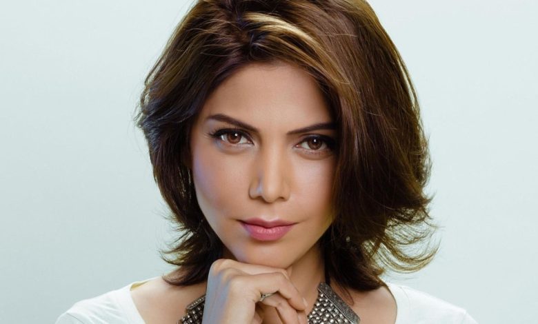 Who Is Hadiqa Kiani? Get to Know Her Education Career & Achievements