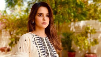 Who Is Rabya Kulsoom? Know Everything About Her career & relationship