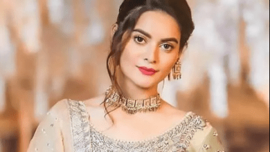 Minal Khan– A Closer Look At Her Whopping Net Worth, Career, & Life