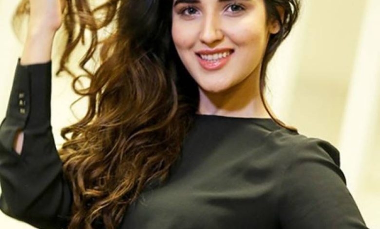 All About Hareem Farooq – Bio, Career, Movies and More